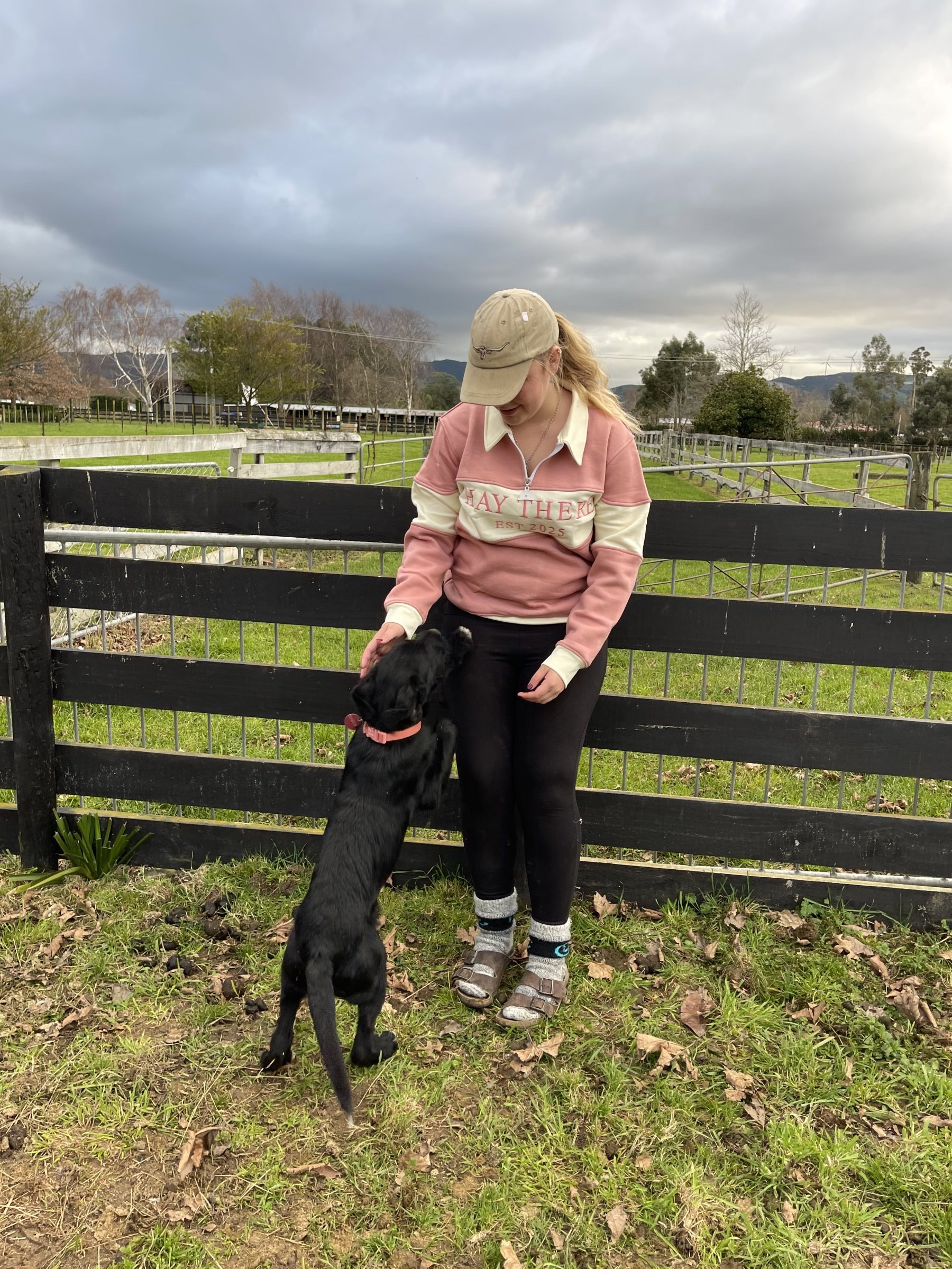 Dusty Rose — Pink & Cream Hay There 1/4 Zip Jersey